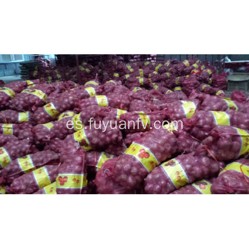 Fresh Good Qulality Red Cebolla